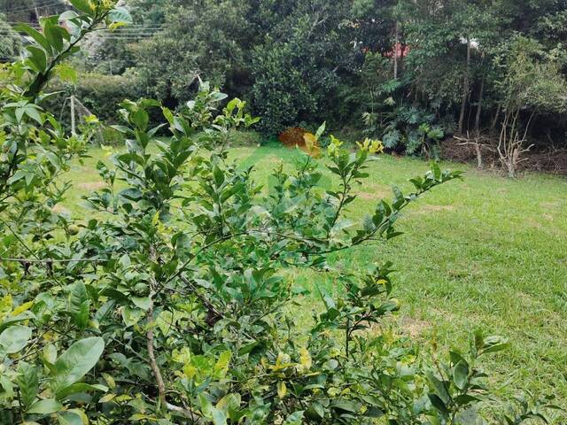 #344 - Terreno para Venda em Teresópolis - RJ