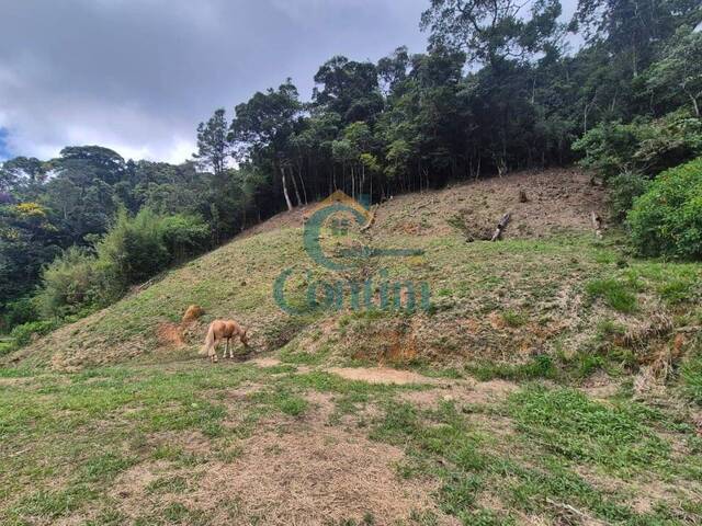 Terreno para Venda em Teresópolis - 4